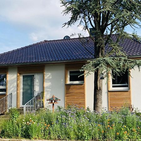 Ferienhaus Urwald Hofgeismar Ngoại thất bức ảnh